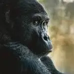 Miserable Mike testimonial avatar